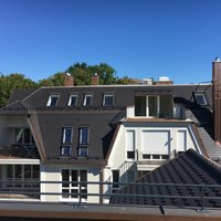 Verzweigte Dachlandschaft bei einem Neubau